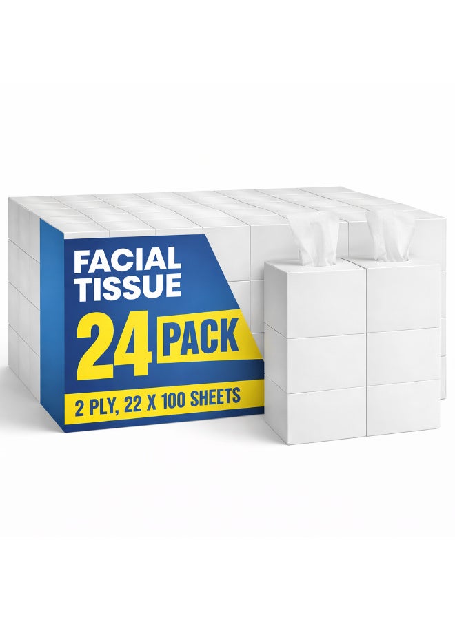 Cubic Facial Tissue, 2 Ply, 24 Packs of 100 Sheets - Image 1